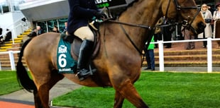 Cheltenham hosts two Chew Valley riders and their ex-racehorses