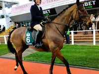 Cheltenham hosts two Chew Valley riders and their ex-racehorses
