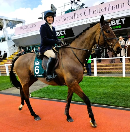 Chew Valley's Lilly Clothier on Elegant Escape enjoying the world-famous paddock at the Cheltenham Festival. 
