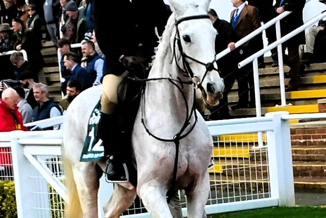 Chew Valley's Jess Wyatt on Ramses De Teillee make their debut at the Cheltenham Festival parade for ex-racehorses.