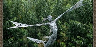 'Sculpture Park' reminder wins the night at photographic society