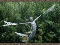 'Sculpture Park' reminder wins the night at photographic society