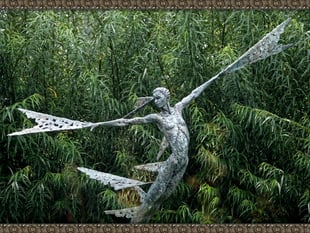 'Sculpture Park' reminder wins the night at photographic society