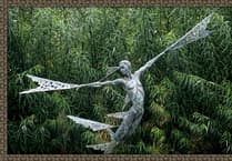 'Sculpture Park' reminder wins the night at photographic society