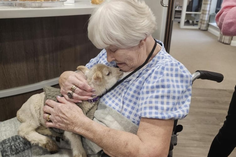 Twinnies Petting Farm visited with newborn lambs allowing residents precious time and cuddles.