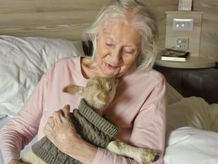 Lambs and chicks add to Easter fun at care home
