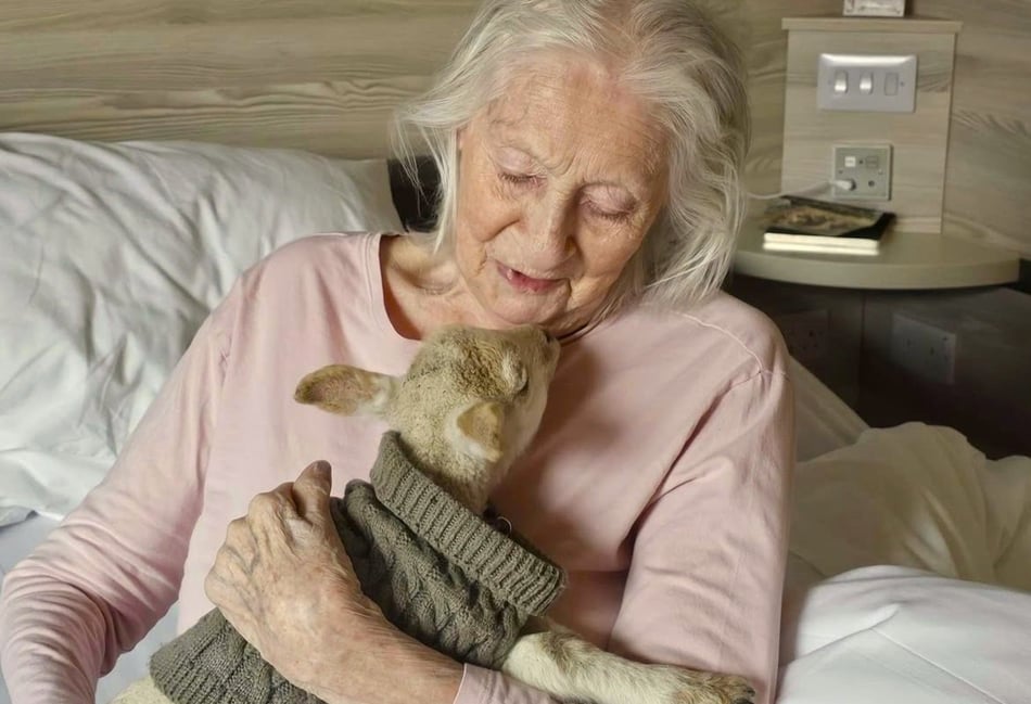 Lambs and chicks add to Easter fun at care home