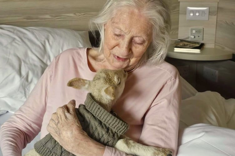 Newborn lambs were the main attraction as residents at Somer Valley House care home enjoyed Easter festivities.