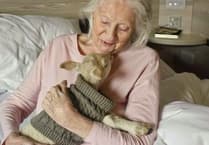 Lambs and chicks add to Easter fun at Midsomer Norton care home