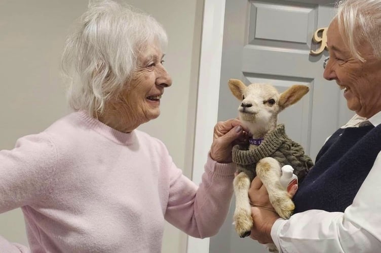An adorable newborn lamb in his woolly jumper thrilled residents and visitors from the community.