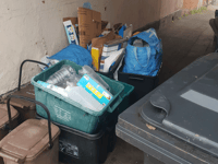 Sunday catch-up for missed bin collections