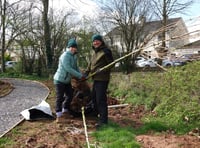 Volunteers plant new trees at Staddlestones Riverside Park 