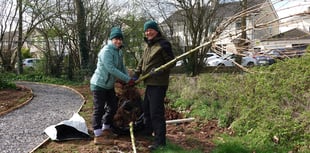 Volunteers plant new trees at Staddlestones Riverside Park 