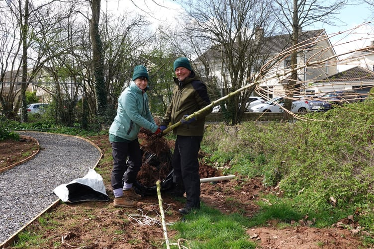 More than 60 trees and whips have been planted by volunteers across Staddlestones Riverside Park.