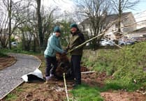Volunteers plant more than 60 new trees at Staddlestones Riverside Park