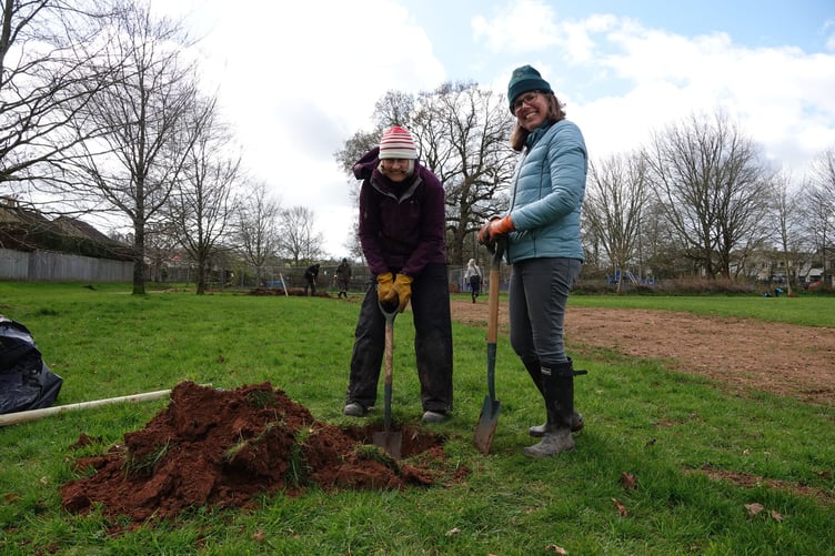 Well-established trees were planted alongside whips in the park by 16 local volunteers.
