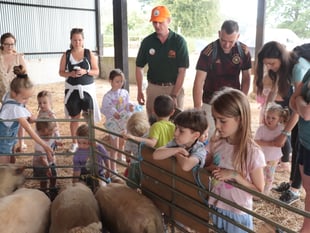Twentieth anniversary of Open Farm Sunday