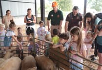 An invitation to visit a local farm on 20th anniversary of Open Farm Sunday