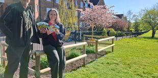 Grow-your-own sunflower community project inspired by film