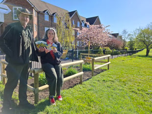 Grow-your-own sunflower community project inspired by film