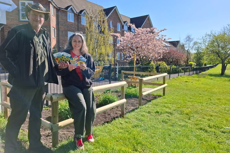 Residents are being invited to grow sunflowers for a community action project at Mary Baily Playing Field.