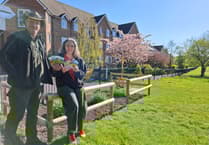 Frome residents invited to plant sunflowers in community action project