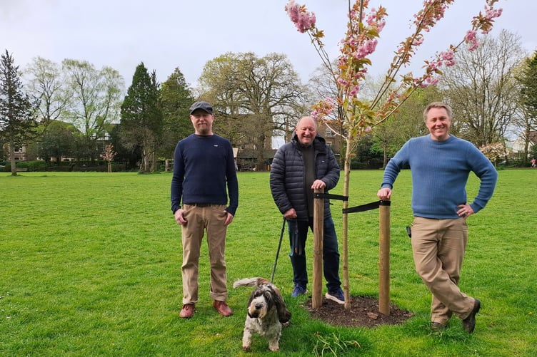 Two Kanzan Cherry trees planted in Victoria Gardens in Frome visited by residents who helped fund them.