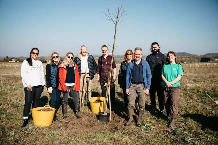 Triodos Bank UK are supporting the project with a £3.85m locan and were on site to plant a central Oak in Echo Wood.