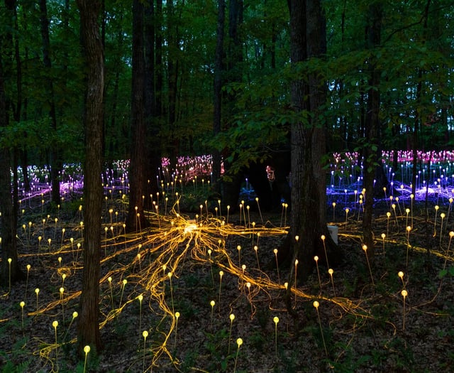 World premiere of light installation to celebrate hospice's 50th year