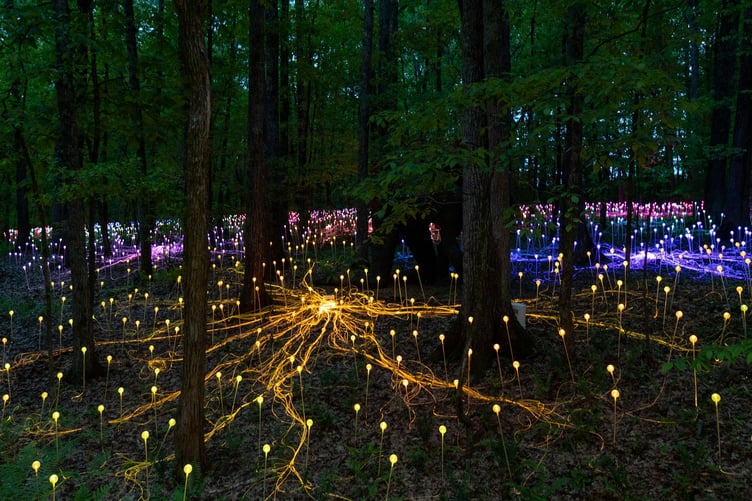 Artist and Dorothy House ambassador Bruce Munro will be bringing Moments of Light to Winsley later this year.