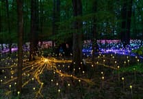 World premiere of light installation celebrates 50 years of Dorothy House