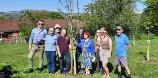 Community orchard launched as BANES chair's official last duty