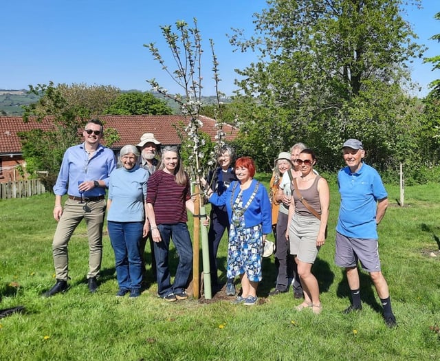 Community orchard launched as BANES chair's official last duty