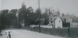 Can you identify this week's mystery photograph?