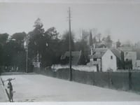 Can you identify this week's mystery photograph?