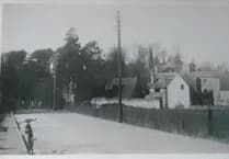 Can you identify this week's mystery photograph?