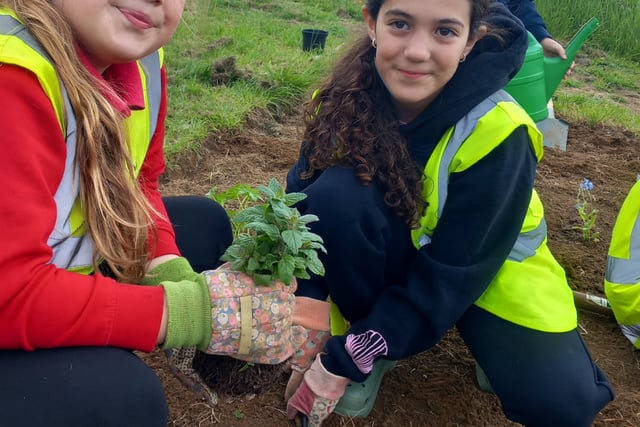 Green fingered help from Westfield pupils at Waterside Valley Park