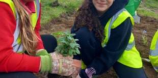 Green fingered help from Westfield pupils at Waterside Valley Park