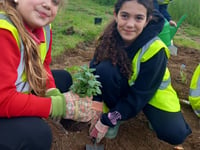 Green fingered help from Westfield pupils at Waterside Valley Park