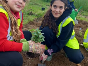Green fingered help from Westfield pupils at Waterside Valley Park