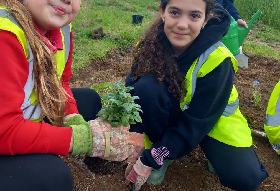 Green fingered help from Westfield pupils at Waterside Valley Park