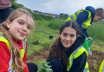 Green fingered help from Westfield pupils at Waterside Valley Park