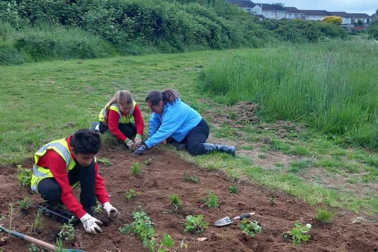 Westfield Primary School's has an award-winning Garden Club that meets weekly.