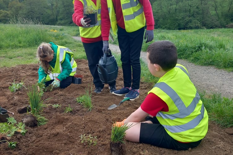 The children planted native wildflowers in the area of the park near Chestnut Close.