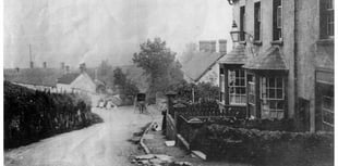 Mystery Photograph: A waiting horse and carriage, but where?