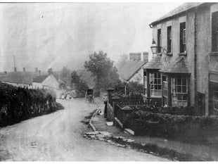 Mystery Photograph: A waiting horse and carriage, but where?