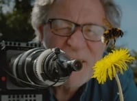 Somer Valley ‘Festival of Nature’ Park Cinema this June