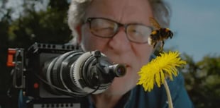 Somer Valley ‘Festival of Nature’ Park Cinema this June