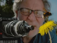 Somer Valley ‘Festival of Nature’ Park Cinema this June