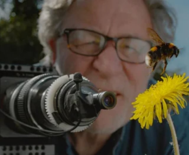 Somer Valley ‘Festival of Nature’ Park Cinema this June